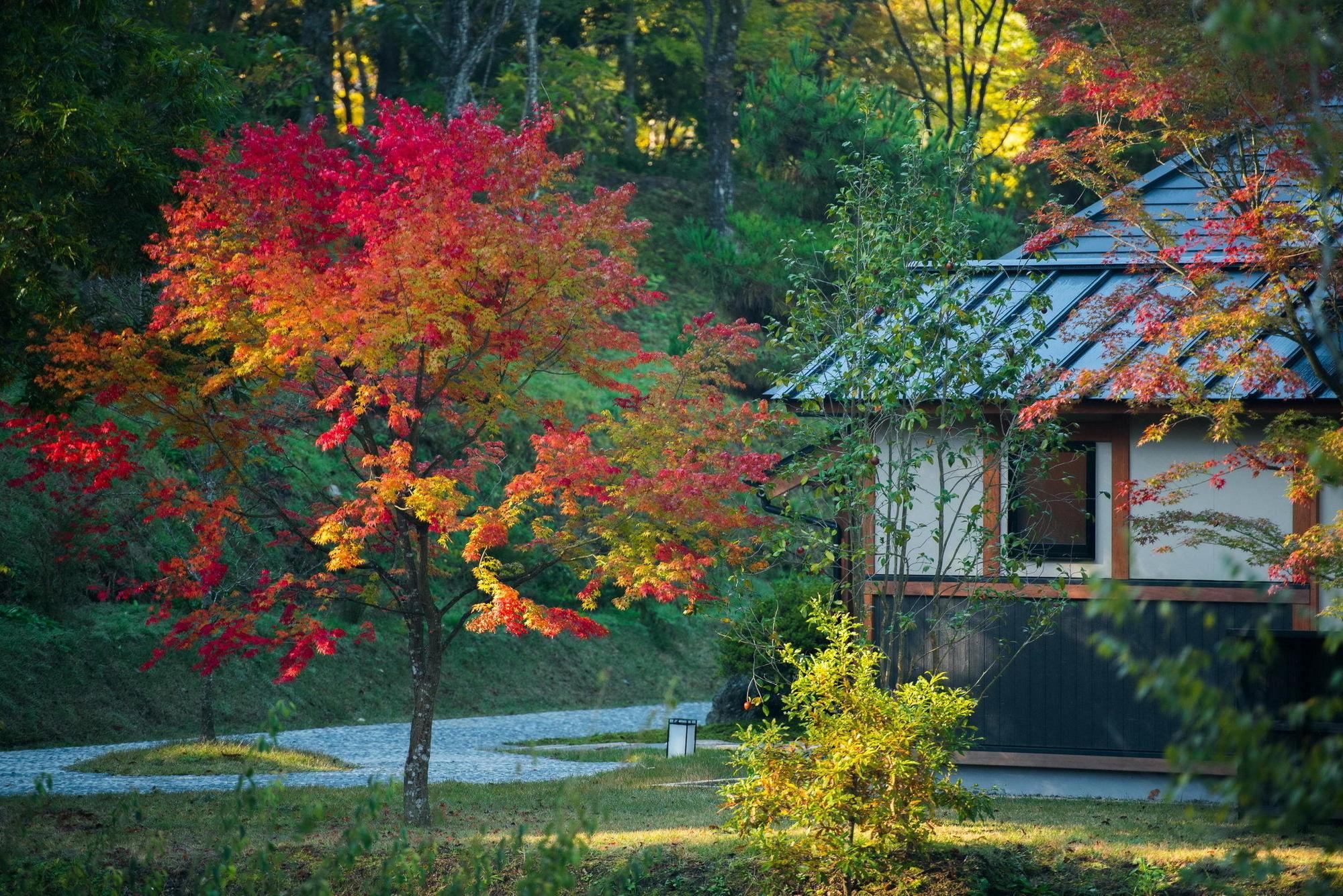 Hotel Miyama Sansou Minamioguni Exterior foto